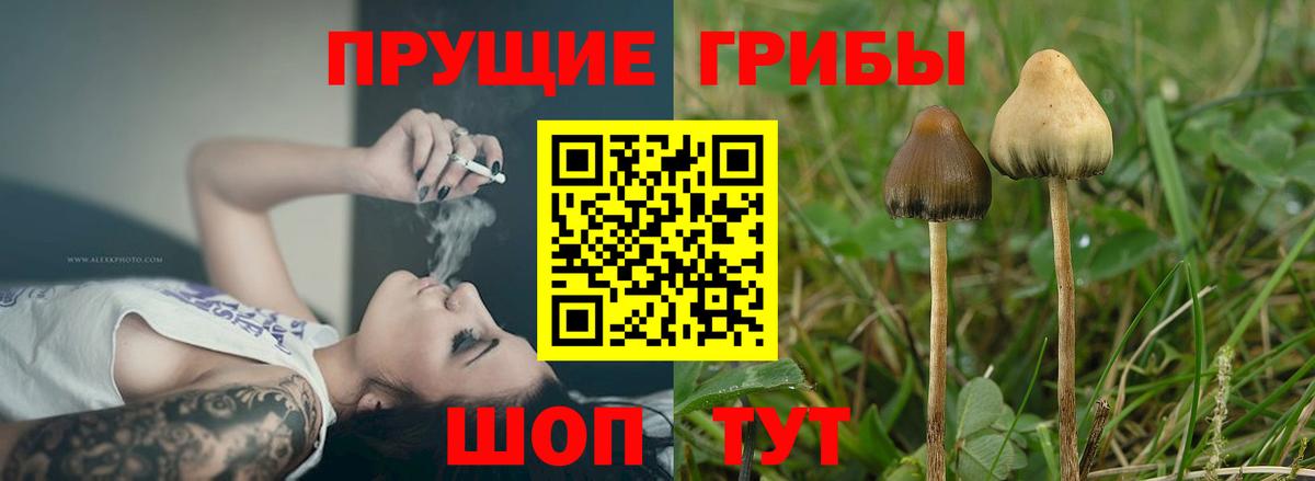 Галлюциногенные грибы Magic Shrooms Когалым